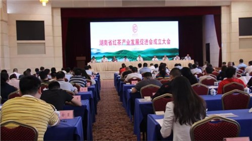 “湖南省紅茶產業發展促進會”成立大會 在長沙召開
